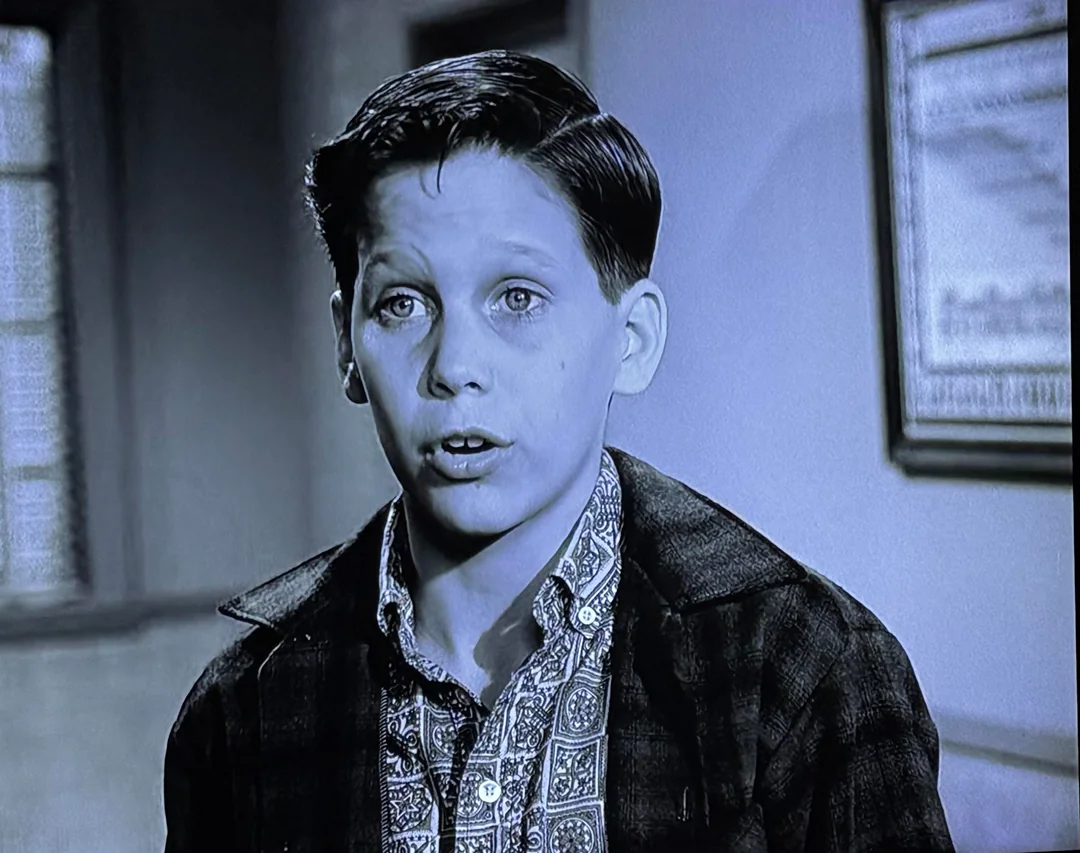 Тим Мэтисон в молодости: путь от детского актёра до звезды американского кино и телевидения