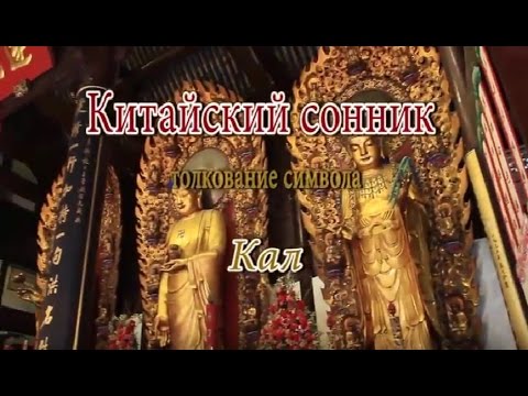 К Чему Снится Кал Женщине: подробный анализ значения сна