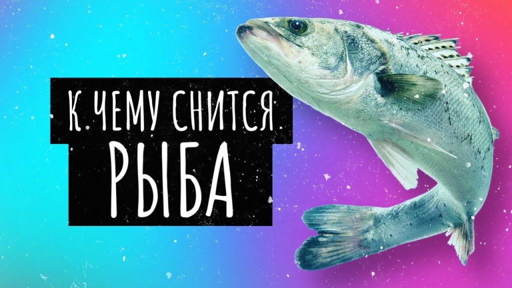 К Чему Снится Рыба: значение сна, толкования и символика