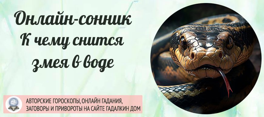 К Чему Снится Змея: значение и толкования сна