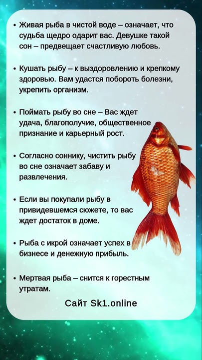 К Чему Снится Рыба: значение сна, толкования и символика