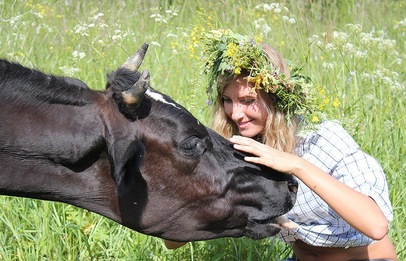 До Чого Сниться Корова Жінці: значення сну для жінок у різному віці