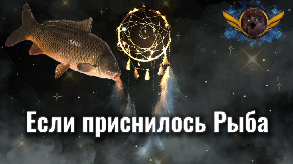 К Чему Снится Рыба: значение сна, толкования и символика