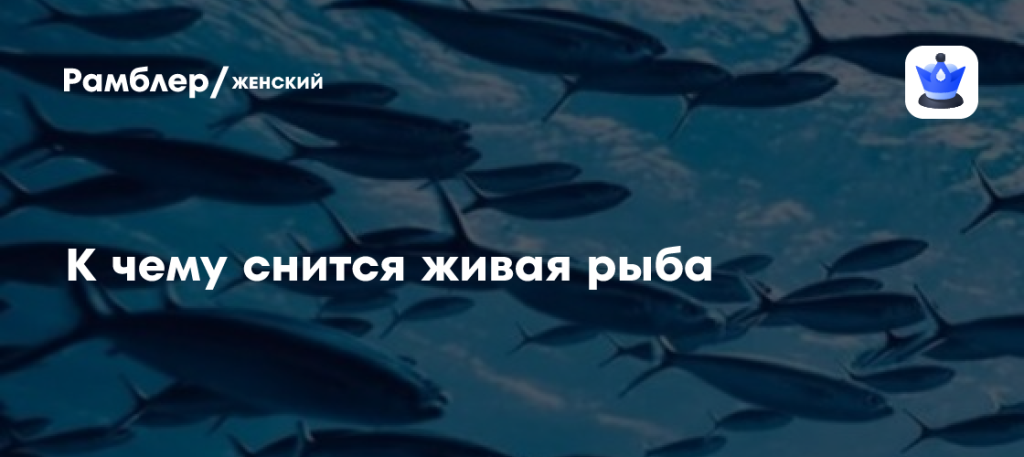 К Чему Снится Рыба: значение сна, толкования и символика