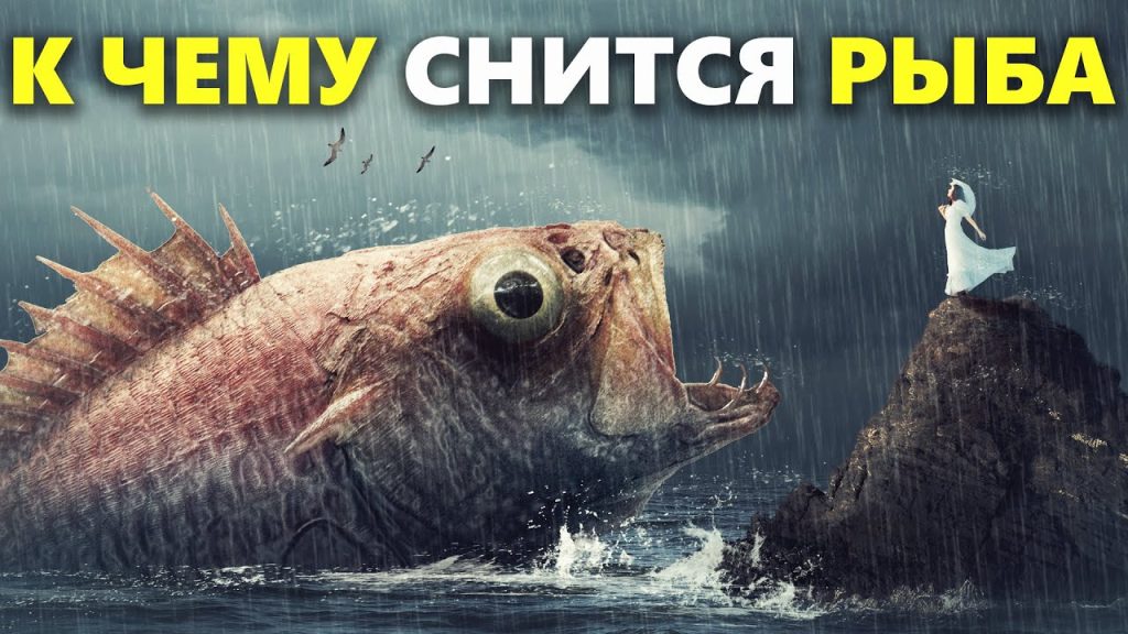 К Чему Снится Рыба: значение сна, толкования и символика